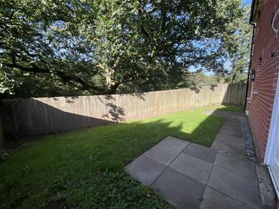 Picture 28